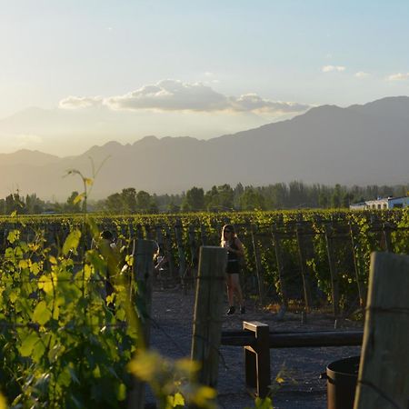 Viamonte Winery Lodge Чакрас-де-Кория Экстерьер фото