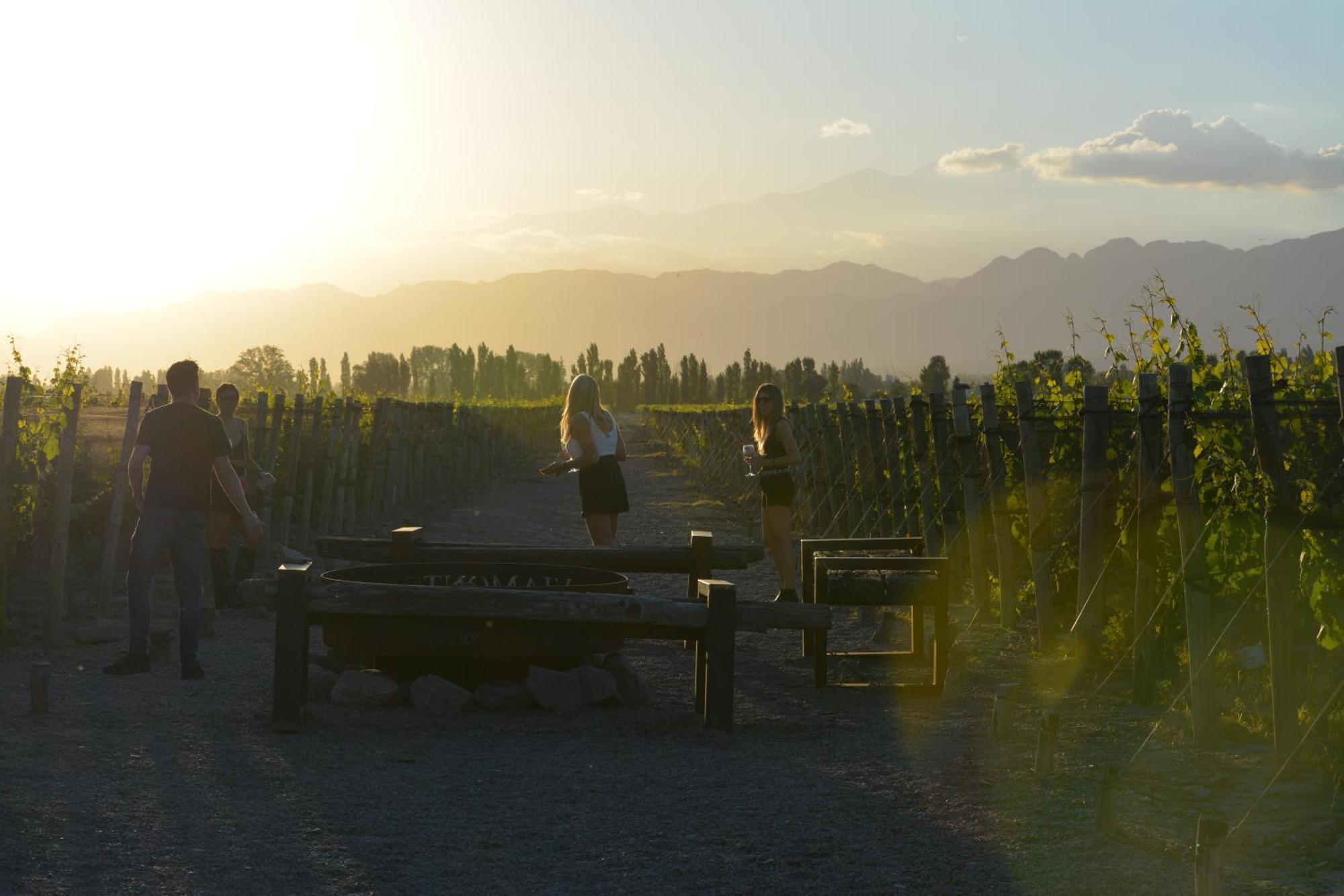 Viamonte Winery Lodge Чакрас-де-Кория Экстерьер фото