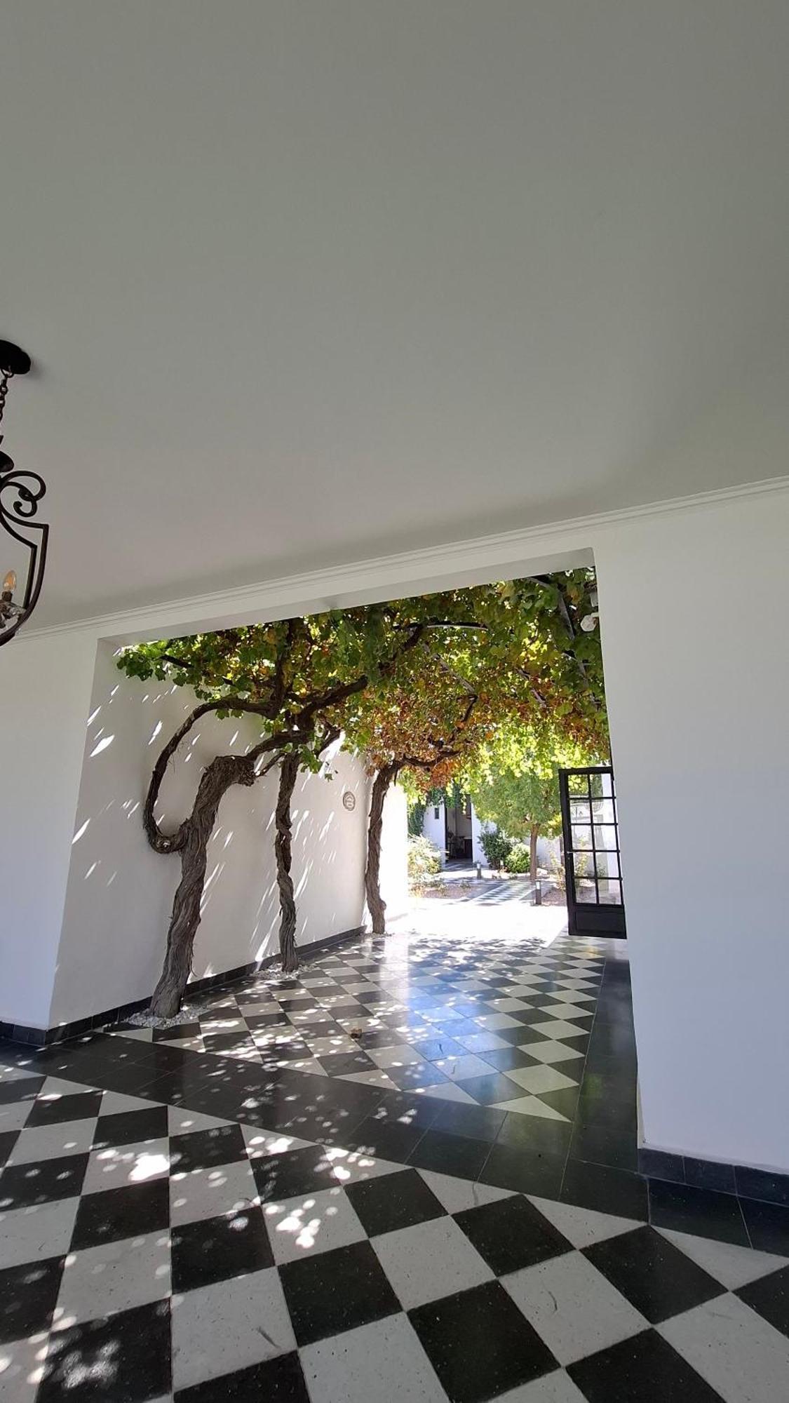 Viamonte Winery Lodge Чакрас-де-Кория Экстерьер фото
